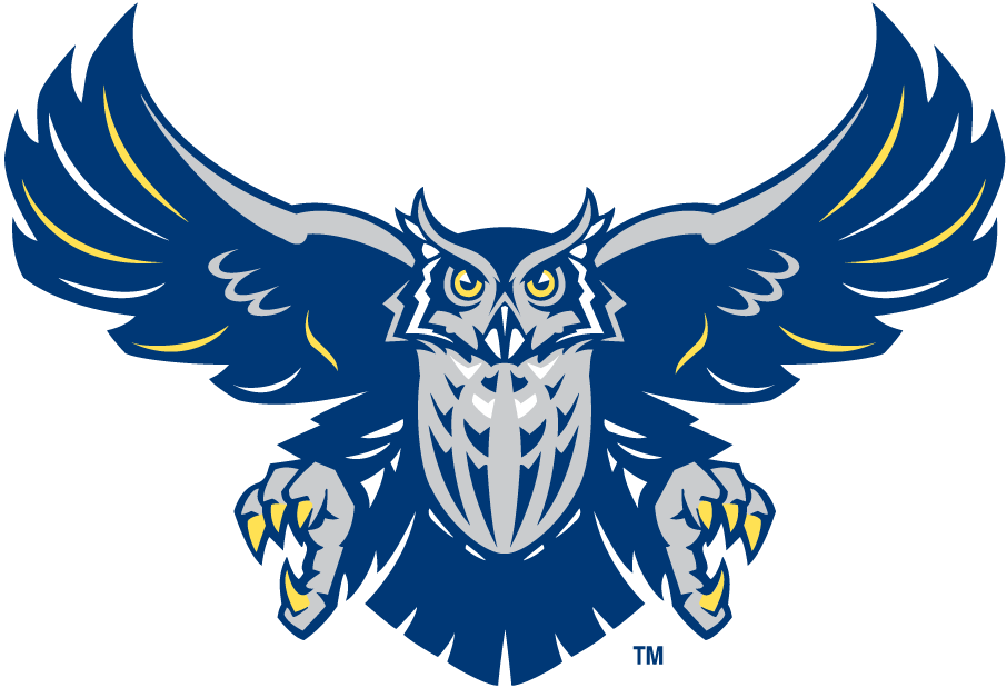 Rice Owls 2003-2009 Alternate Logo v3 diy DTF decal sticker